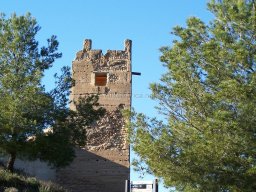 Castillo de Pliego 2009